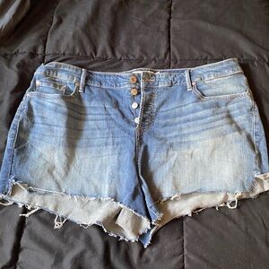Torrid Jean Shorts